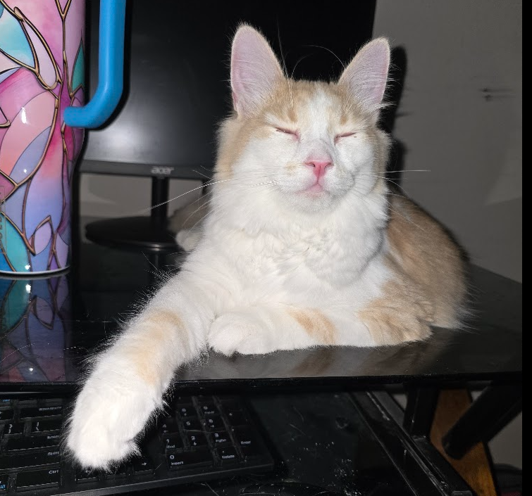 Kalea sitting proudly on his throne